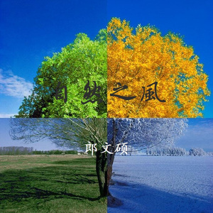 高清91传媒视频在线观看
