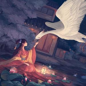 高清91传媒视频在线观看
