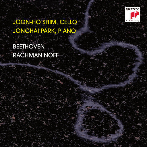 高清91传媒视频在线观看
